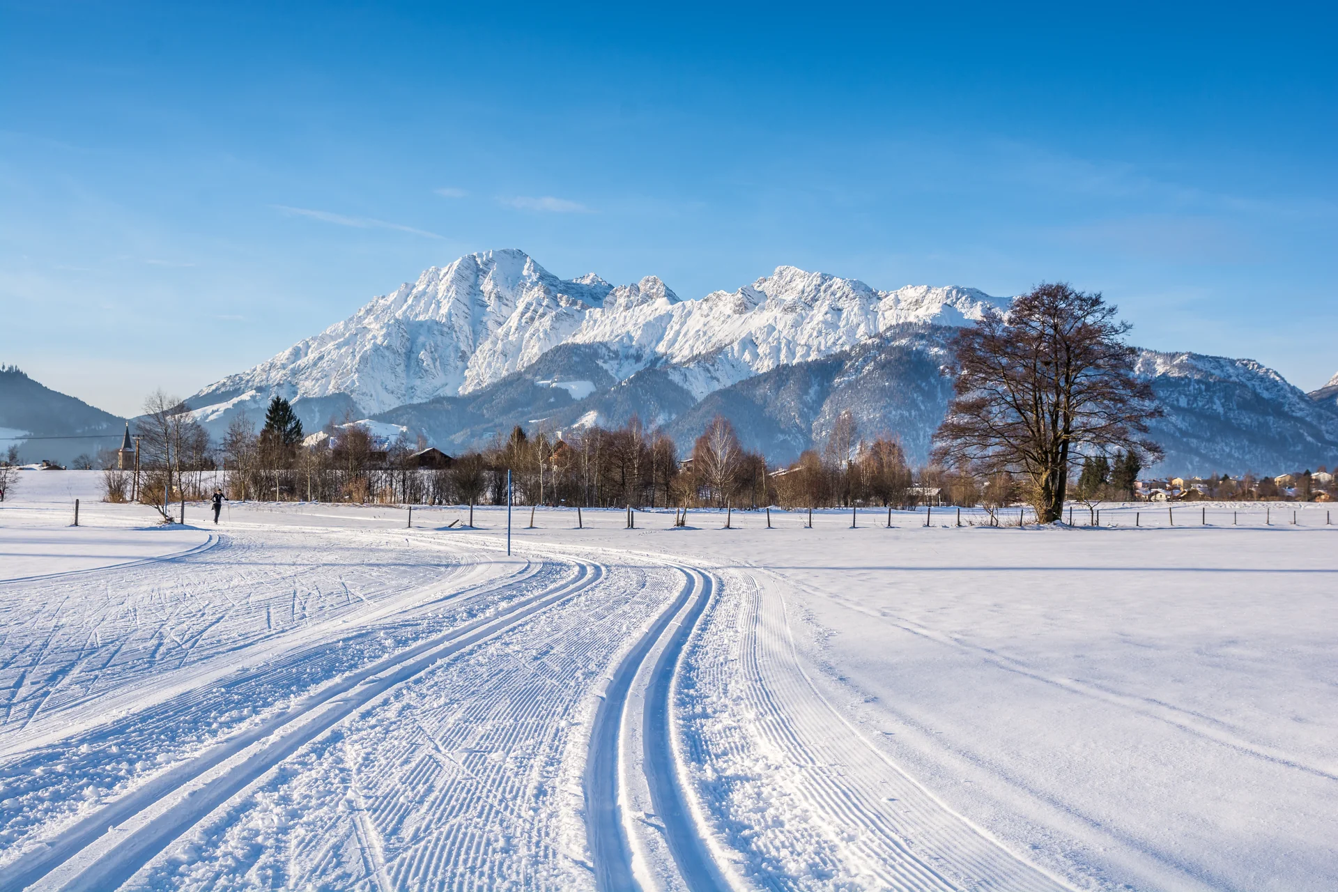 Winterliche Loipe am Ritzensee mit verschneiten Bäumen und Steinberge-Panorama