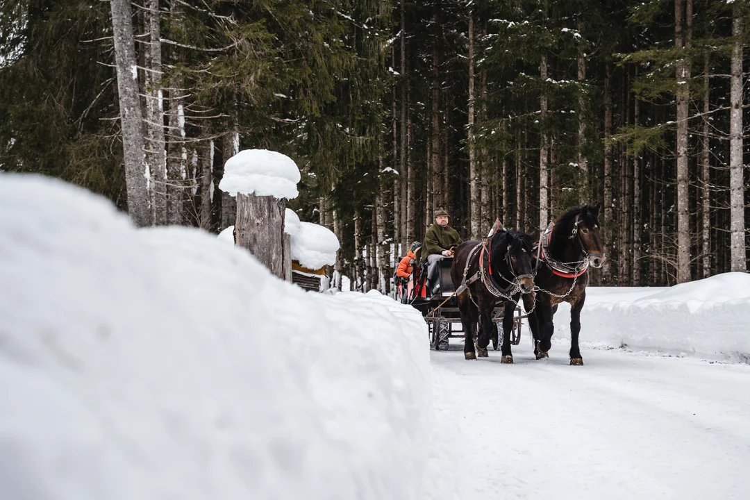 Pferdeschlittenfahrt durch verschneiten Winterwald