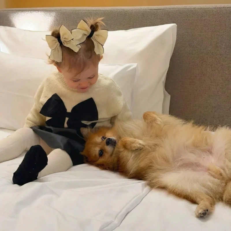 小女孩和狗在舒适的酒店床上