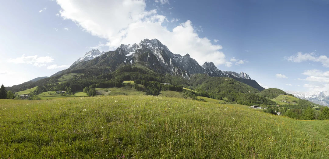 Steinberge panorama with green meadow in summer