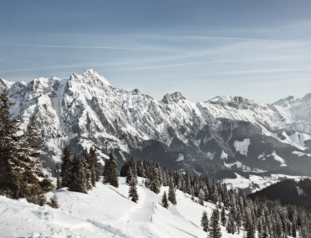 Winter panorama of Steinberge with fir trees and ski slopes
