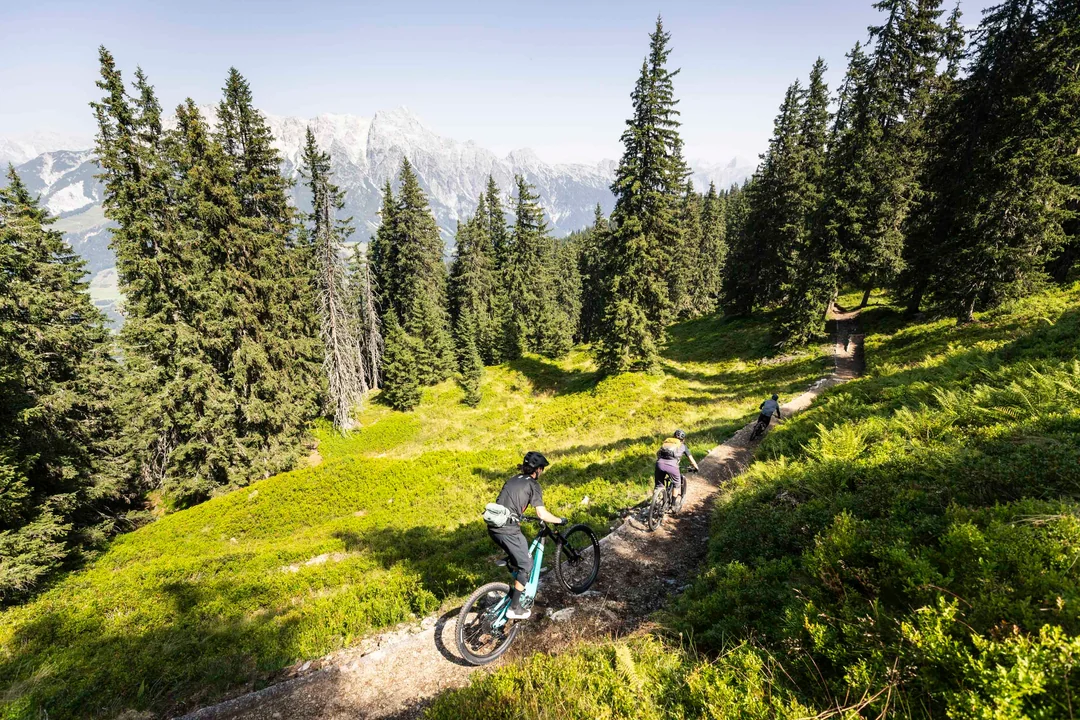 Tres ciclistas de montaña en un sendero del bosque cerca de Saalfelden en verano